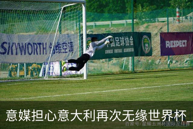 意媒担心意大利再次无缘世界杯 名帅批球队飘了